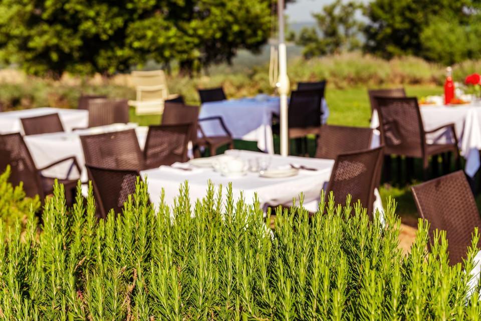 Agriturismo & Cantina Tenuta Casteani Ribolla Экстерьер фото