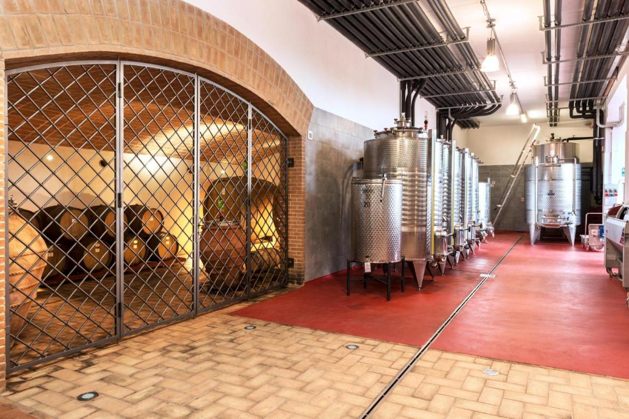 Agriturismo & Cantina Tenuta Casteani Ribolla Экстерьер фото