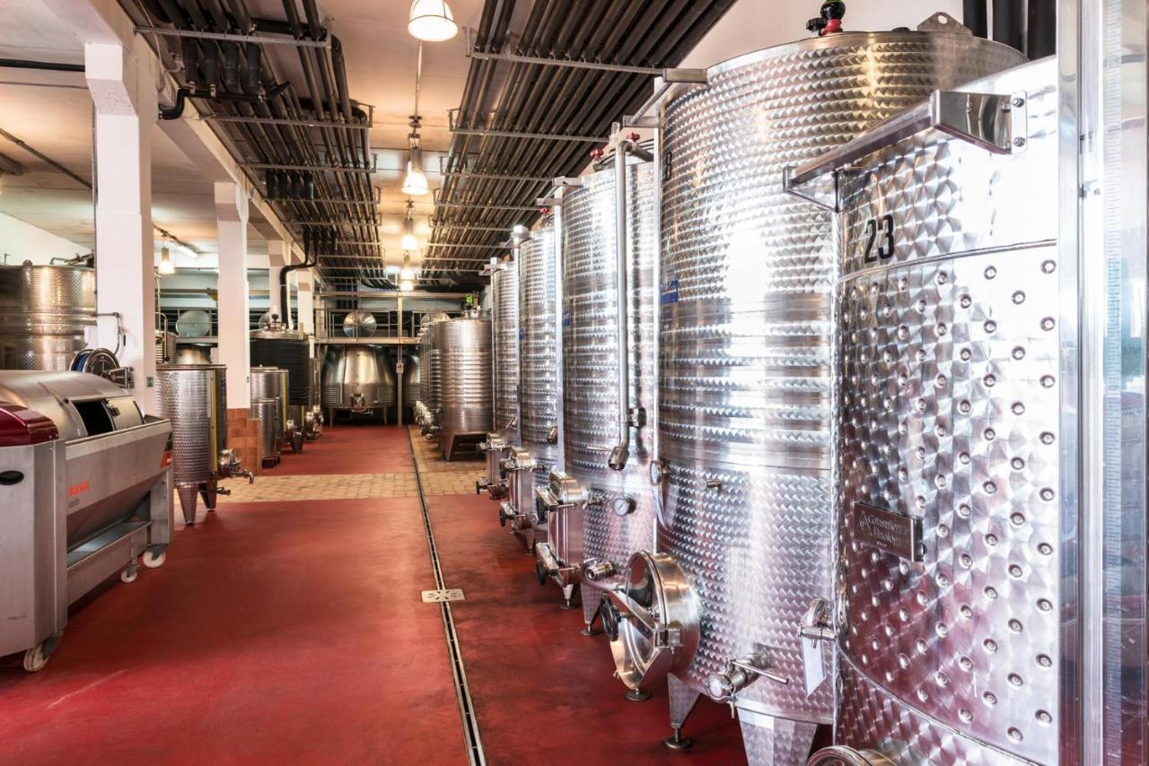 Agriturismo & Cantina Tenuta Casteani Ribolla Экстерьер фото